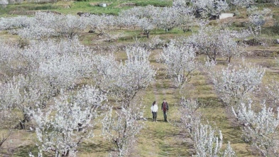 Enclaves: Valle del Jerte