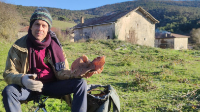 La cocina mágica de...: Setas deslumbrantes