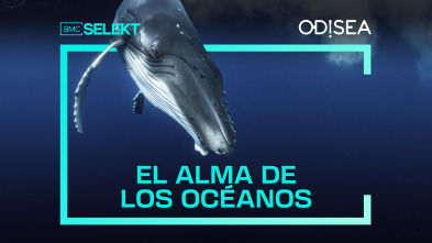 El alma de los océanos