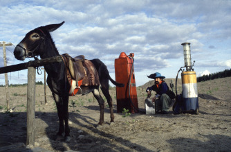 Leningrad Cowboys Meet Moses