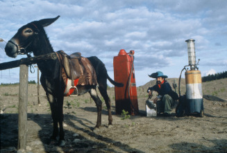 Leningrad Cowboys Meet Moses