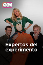 Expertos del experimento (T2)