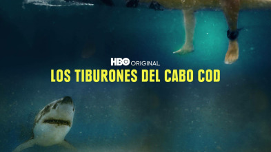 Los tiburones del Cabo Cod