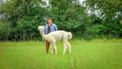 De viaje con Susan Calman: Shakespeare Country