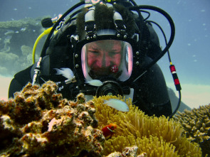 Barreras de coral en peligro