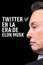 Twitter en la era de Elon Musk 