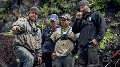 La fiebre del oro:...: En guerra con un árbol