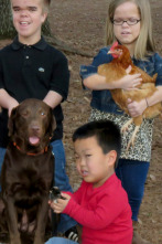 ¡Menuda familia!: Una carrera de gallinas