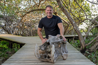 Hipopótamos y cocodrilos con Steve Backshall 