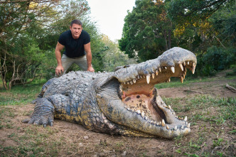 Hipopótamos y...: Cocodrilos con Steve Backshall II