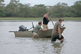 Hipopótamos y...: Cocodrilos con Steve Backshall II