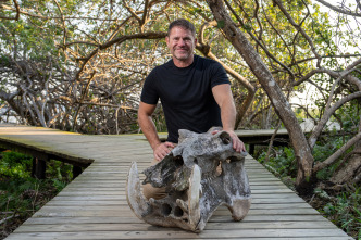 Hipopótamos y...: Hipopótamos con Steve Backshall I