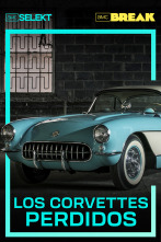 Los Corvettes perdidos (T1)