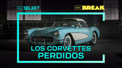 Los Corvettes perdidos (T1)