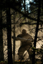 El triángulo de... (T2): Bigfoot agresivo