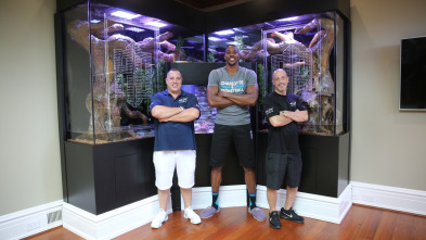 Acuarios XXL, Season 12: El acuario para serpientes de Dwight Howard