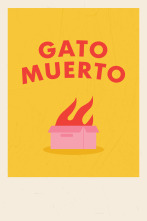 Gato muerto