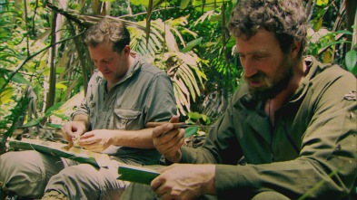 Comida salvaje, Season 1: Borneo: Manglares