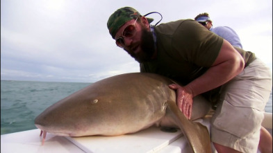 Cuestión de agallas,...: Obsesionado por los tiburones