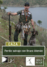 Perdiz salvaje con Braco Alemán