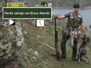 Perdiz salvaje con Braco Alemán