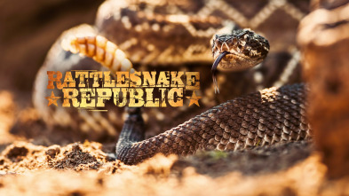 República Reptil, Season 2 