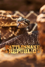 República Reptil, Season 2 