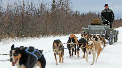 Yukon Men, Season 5: Un último esfuerzo