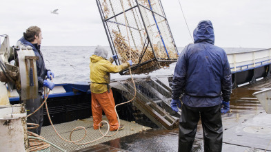 Pesca radical, Season 17: Fuerza mayor