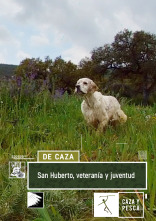 San Huberto. Veteranía y juventud