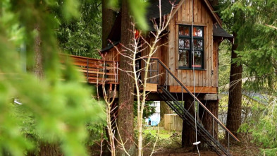 Mi casa en un árbol,...: Casa del árbol biónica