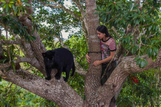 Emma y el jaguar negro