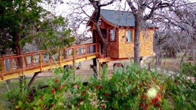 Mi casa en un árbol: Balneario en las alturas