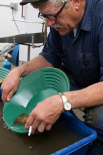 La pesca del oro,...: Los buenos siempre son los últimos