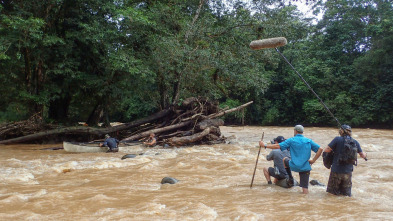 Dúo de supervivientes,...: Inundados