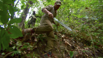 Dúo de supervivientes,...: Caos colombiano