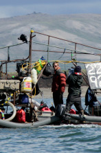 La pesca del oro,...: La jauría del oro