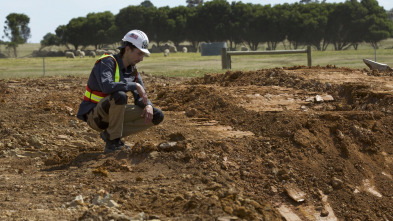 La ruta del oro con...: Bienvenido, extraño