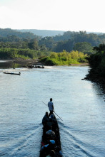 Fish Or Die, Season 1: Bienvenidos a la selva