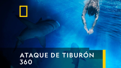 Ataque de tiburón 360: Asesinos en el agua