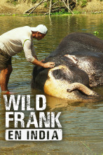 Wild Frank en India, Season 1 