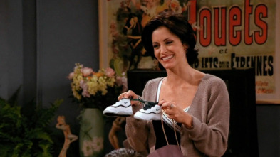 Friends, Season 2 (T2): Ep.2 El de la leche materna