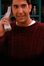 Friends, Season 2 (T2): Ep.7 El de cuando Ross se entera