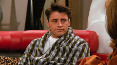 Friends, Season 2 (T2): Ep.18 El de cuando el Dr. Ramoray muere