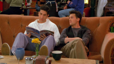 Friends, Season 2 (T2): Ep.21 El de los matones