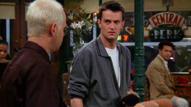 Friends, Season 3 (T3): Ep.8 El del Gran Instrumento Punzante