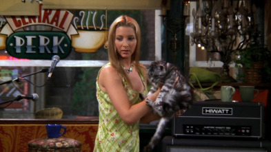 Friends, Season 4 (T4): Ep.2 El de la gata