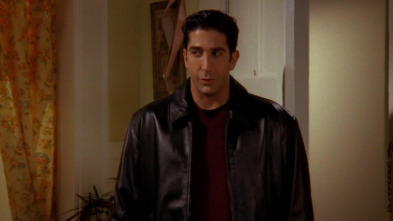 Friends, Season 4 (T4): Ep.6 El de la chica sucia