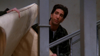 Friends, Season 5 (T5): Ep.16 El del policía