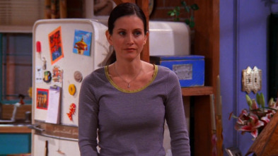 Friends, Season 6 (T6): Ep.6 El de la última noche